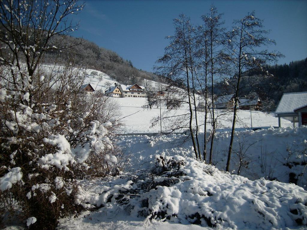 Finken, Gaestezimmer An Der Rench Oppenau Esterno foto