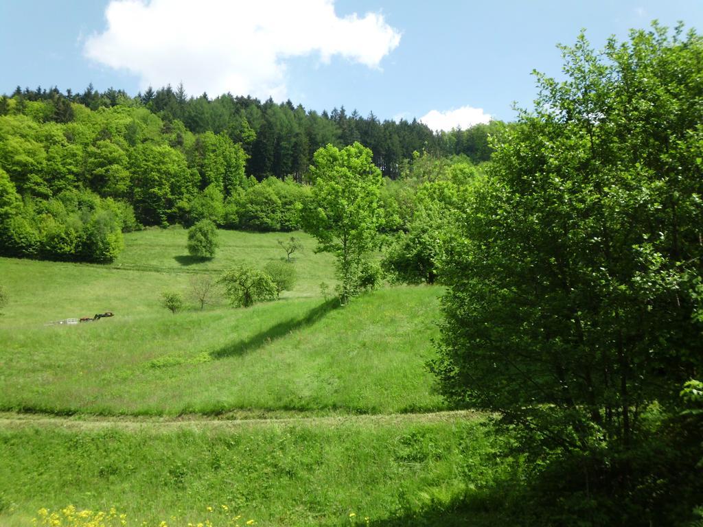 Finken, Gaestezimmer An Der Rench Oppenau Esterno foto